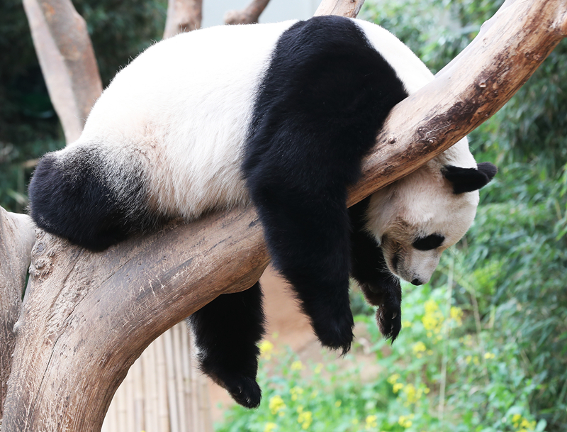 網(wǎng)絡(luò)詐騙防范措施_600億浙商大佬暴雷，百億級(jí)兌付危機(jī)？