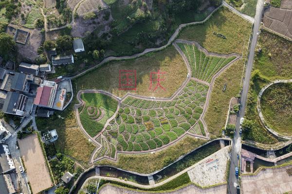 各種引流渠道自媒體_香港特區(qū)第八屆立法會選舉結(jié)果出爐 90人當(dāng)選議員