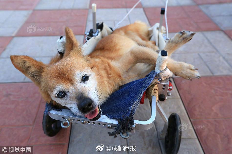 給網(wǎng)信辦的函的格式_男子飛無人機在崖洞發(fā)現(xiàn)干尸？警方通報