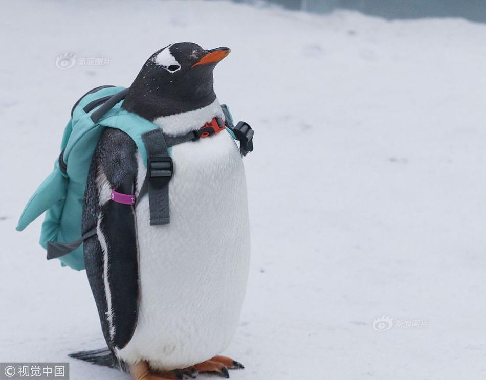 appscan是什么_重返意甲第一！普利西奇替補雙響，AC米蘭3-2都靈攻克夢魘之地
