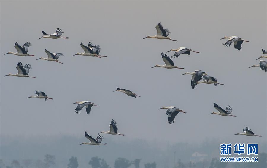 巴基斯坦媒體：中國(guó)的發(fā)展軌跡展示出了兩點(diǎn)