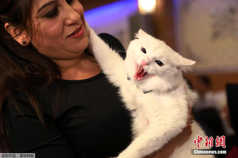 銷售成功案例分享_Tensorflow深度學(xué)習(xí)入門(mén)與實(shí)戰(zhàn)