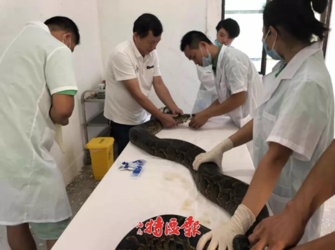 銷售成功案例分享_Tensorflow深度學(xué)習(xí)入門(mén)與實(shí)戰(zhàn)