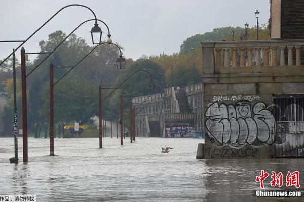 svn上tree功能怎么用_華為、阿里等大廠“變陣” 加碼AI基礎(chǔ)模型和應(yīng)用