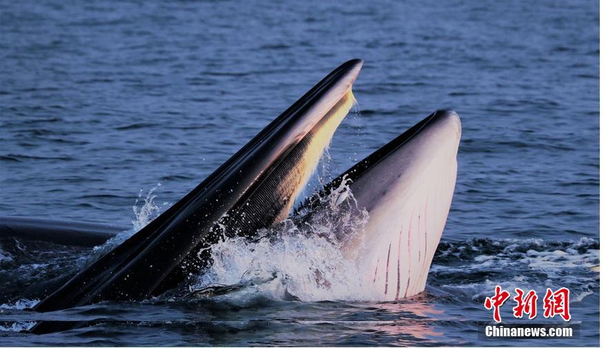bug的幾種狀態(tài)_【8點見】廣東汕頭一住宅發(fā)生火災，致8死4傷
