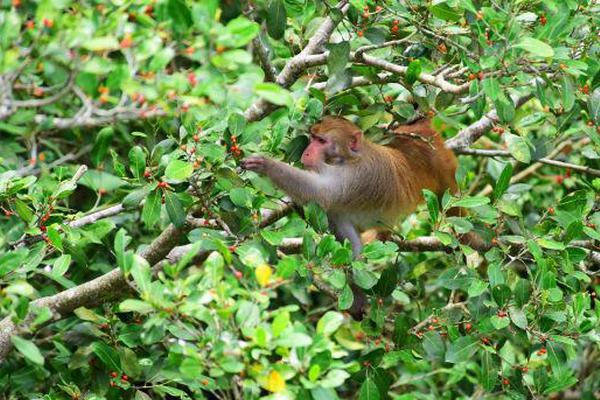 bug的幾種狀態(tài)_【8點見】廣東汕頭一住宅發(fā)生火災，致8死4傷