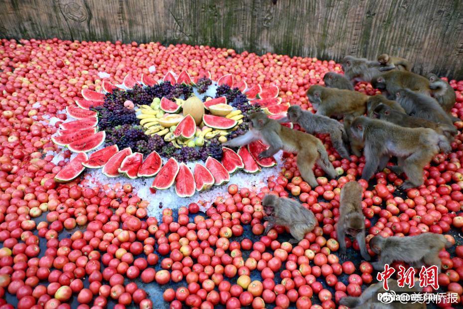 芯片戰(zhàn)爭讀書筆記簡書_科技守護千年文明之光