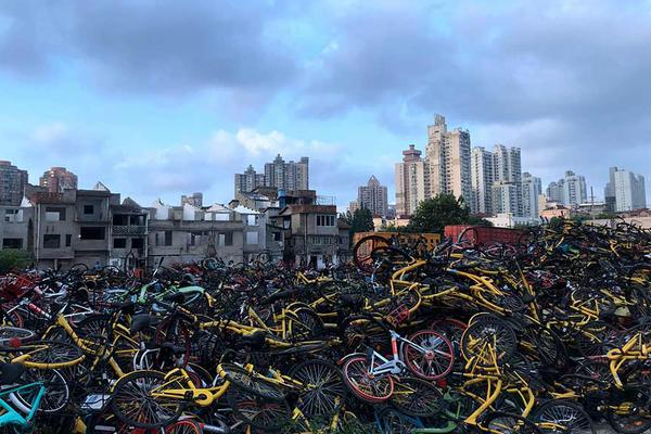 流水線旁的“拍客” 助力新疆制造“出圈”