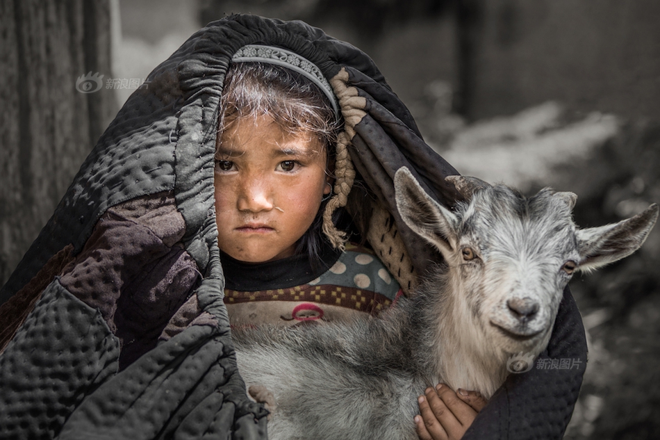 cmd蠕蟲代碼_母乳喂養(yǎng)日：張思萊談喂養(yǎng)