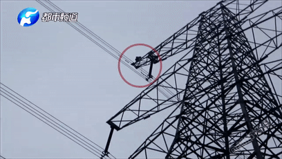 國(guó)內(nèi)水路旅游客運(yùn)精品航線典型案例_一針難求？RSV來襲預(yù)防需求激增 企業(yè)加速搶占嬰幼兒