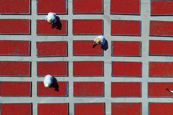 win11找不到防火墻功能了_影視劇資源現(xiàn)網(wǎng)售利益鏈 售賣用“暗語”防屏蔽