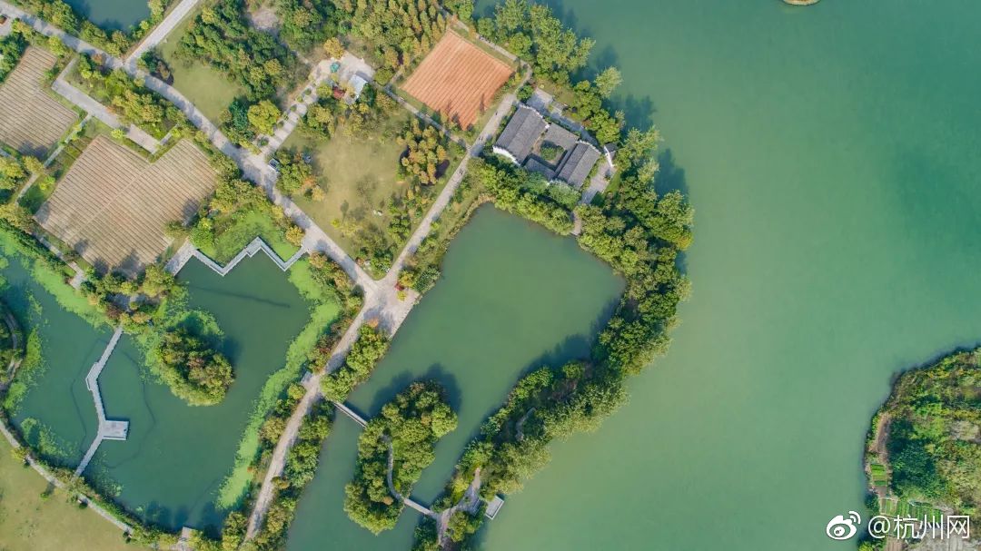 紅帽黑客是什么_常長亭：重質時代堅決回避立案問題股