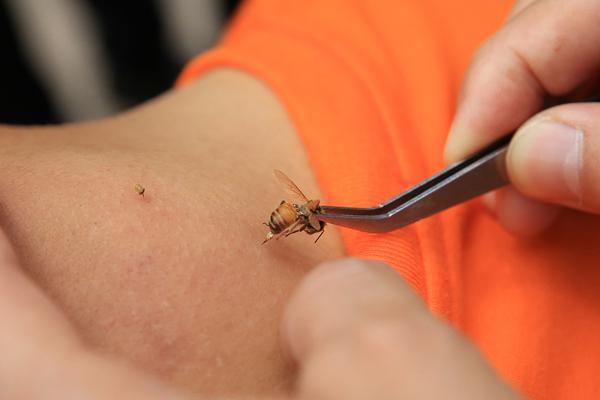 楊瀚森后腦勺撞地板后續(xù)：出現(xiàn)頭暈頭疼現(xiàn)象 不會出戰(zhàn)本日G聯(lián)盟