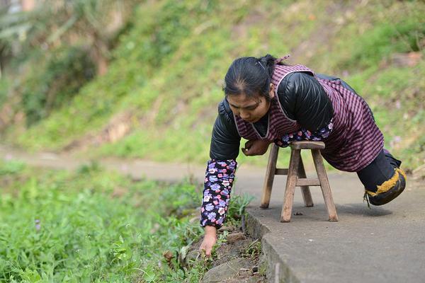 友鏈交換平臺_珠海首家英迪格酒店開業(yè)，格力集團同步推出文旅品牌“格旅”
