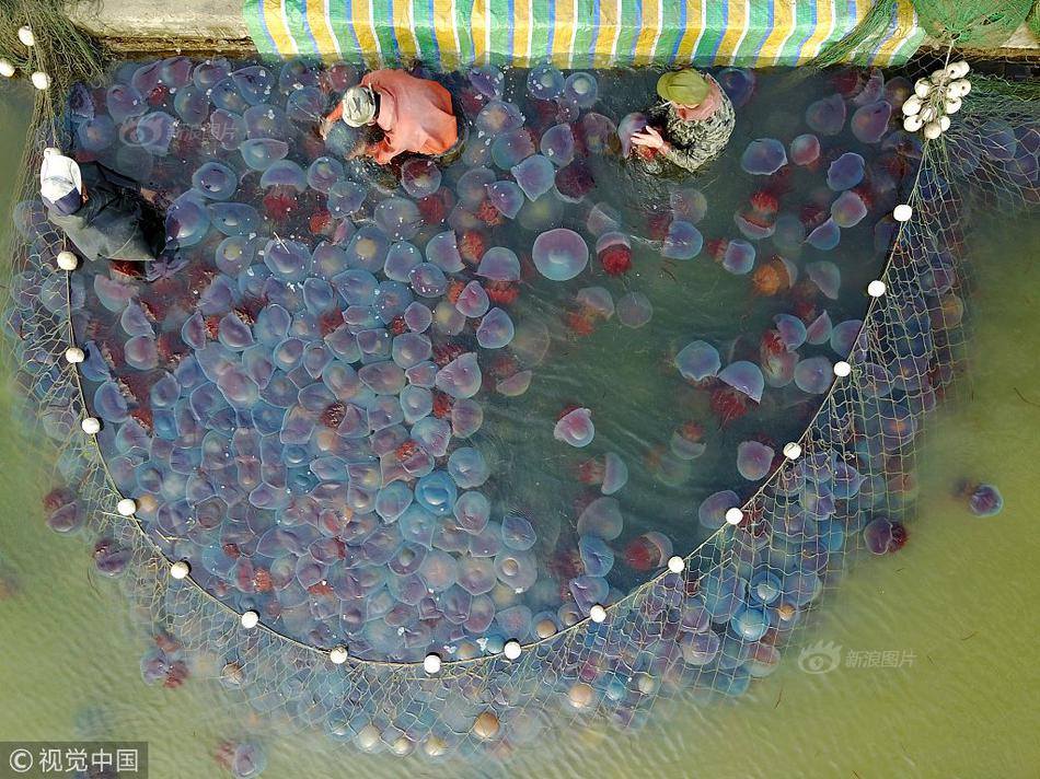 換頭怪寄生_三折疊巔峰對(duì)決 三星能否終結(jié)華為無(wú)盡的寂寞