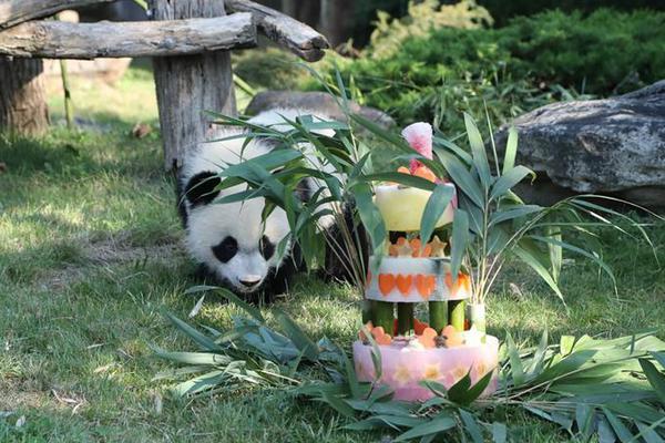 如何破解學(xué)校機房網(wǎng)絡(luò)限制_臺灣，禁不掉的小紅書