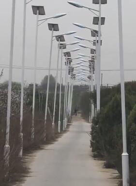 xbw20小白網(wǎng)看巴士2025年最新版中文版_飛豬與昆士蘭旅游局達(dá)成合作 將聯(lián)合開發(fā)旅游新品、解鎖多元玩法