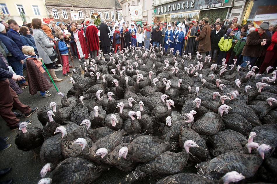 湖北黃石:外國(guó)游客打卡佛手雕塑 遠(yuǎn)眺仙島湖風(fēng)光