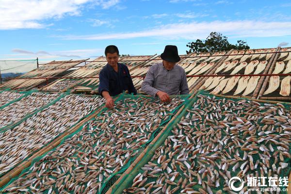 云文件上傳共享平臺網(wǎng)頁版登錄_北京地區(qū)聯(lián)合辟謠平臺