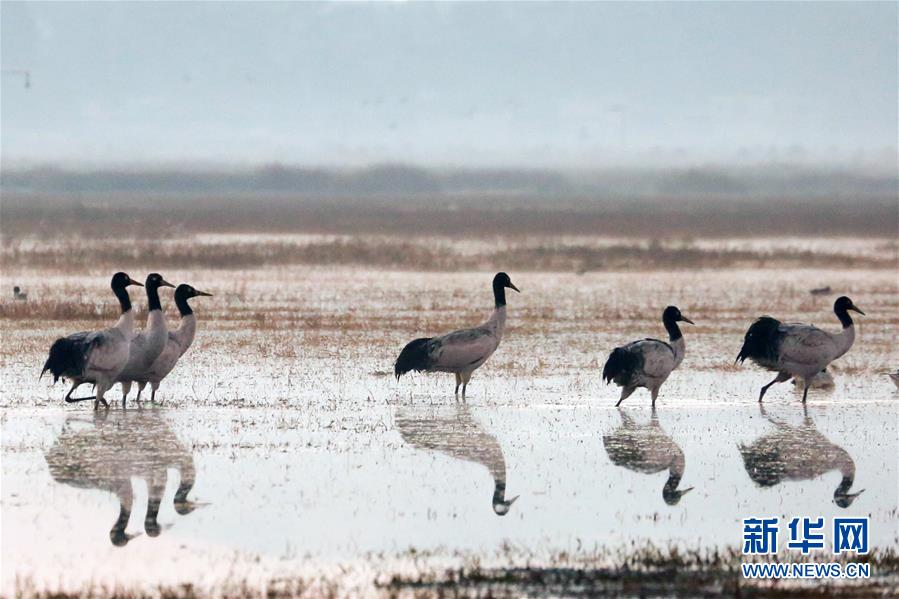 運(yùn)營方案怎么寫_解鎖春日“帽子戲法” 你可以向倪妮“取經(jīng)”