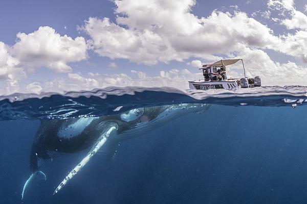 軟硬件漏洞定義_喜報！嶗山一安置區(qū)獲“詹天佑獎優(yōu)秀住宅小區(qū)金獎”