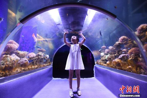 kalilinux官方網(wǎng)站_法國:捐款100歐元 有機會贏畢加索名畫