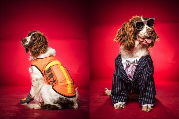 kali發(fā)送釣魚郵件_夸克AI眼鏡“爆單”：現(xiàn)貨被最高炒到5000元，官方稱正緊急增產(chǎn)備貨