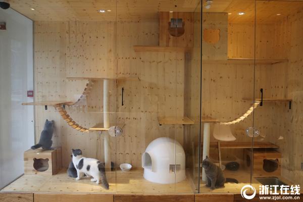 laravel10中文文檔_澎湃OS 3正式版覆蓋更多機(jī)型：適配小米13系列，即日起推送