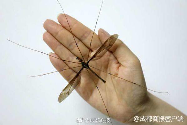 linux怎么打開一個臨時端口_新婚夜丈夫就分床睡，我自覺屈辱，天一亮準備回娘家，他卻攔住我