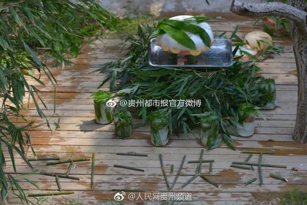 被詐騙的錢立即報案了錢追回的概率_何穗陳偉霆隔空搭老錢風(fēng)，甜蜜示愛笑意滿