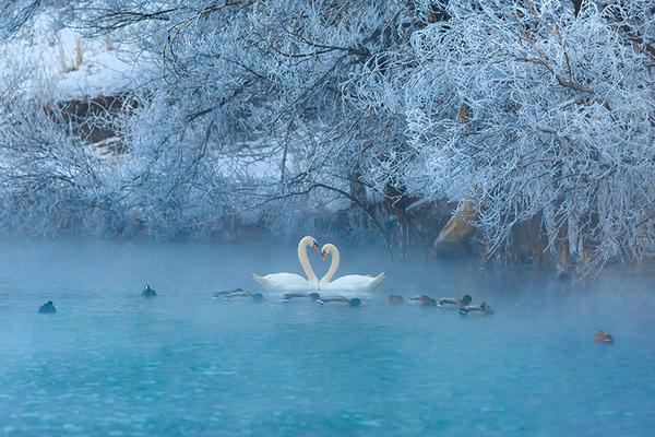 本次訪問已被零信任網(wǎng)關(guān)攔截_新疆4000畝沙漠鹽堿水稻豐收