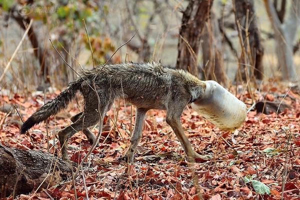 局域網(wǎng)共享excel多人編輯_巴薩國王杯國家德比名單：梅西入選