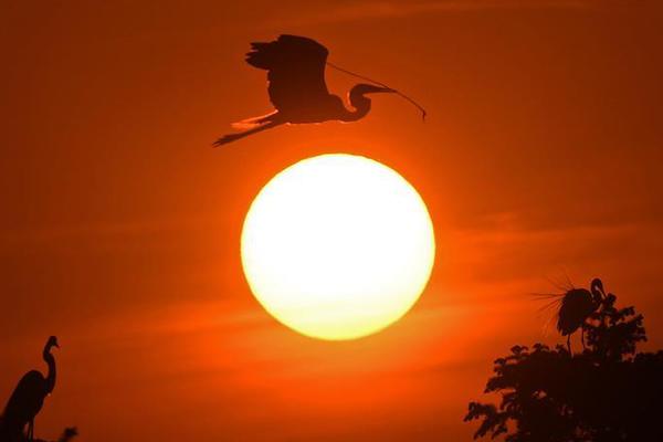 nessuss工具記錄漏洞導(dǎo)出報告_學(xué)習(xí)貫徹四中全會精神·一線見聞