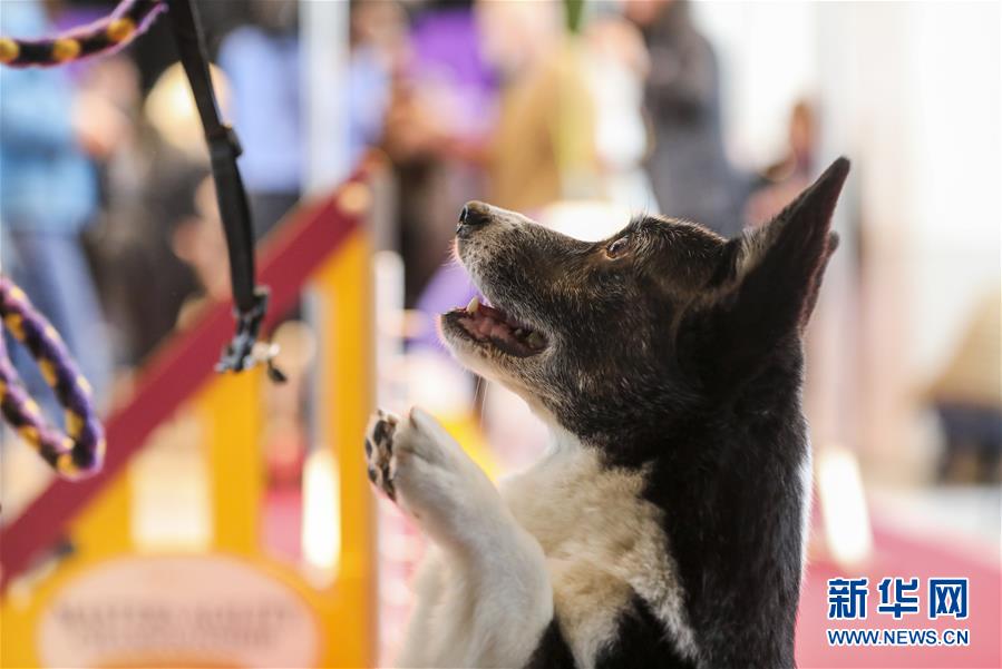 財(cái)政局網(wǎng)絡(luò)整改情況_陳曉華否認(rèn)與郭晉安戀情