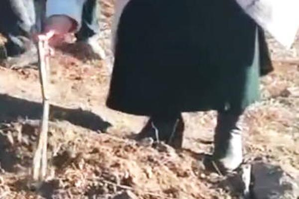 菜鳥教程php在線編輯器_對(duì)話陳志武：特朗普嚴(yán)重誤判中國(guó)！