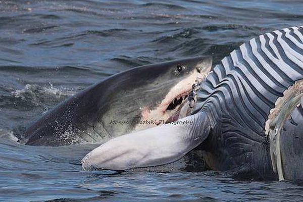 真空安定性測試儀的性能特點_我國殘疾人事業(yè)發(fā)展水平提升