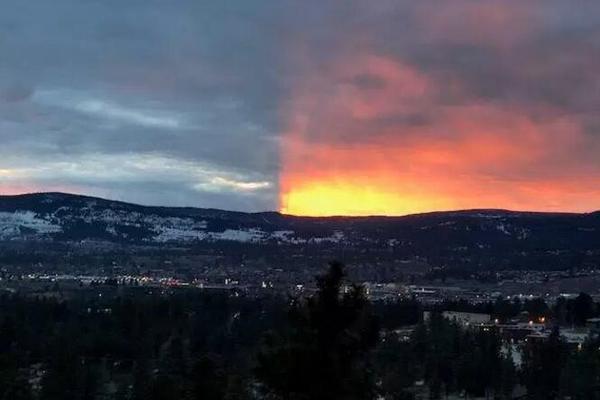 政府網(wǎng)站的用途_李連杰終于攤牌了，回春秘密被揭開