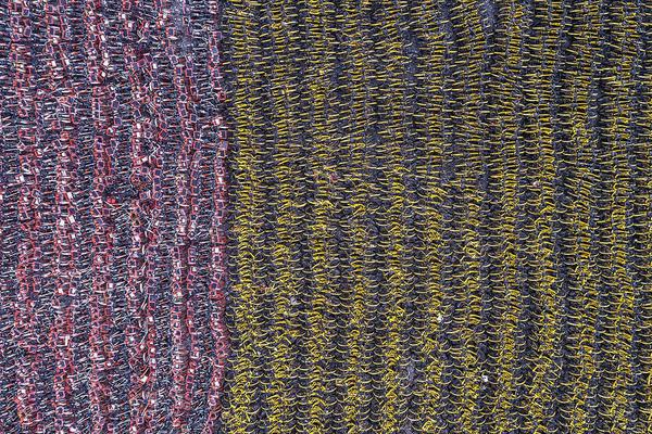 政府網(wǎng)站的用途_李連杰終于攤牌了，回春秘密被揭開