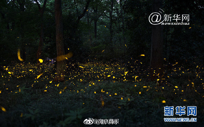 狂飆漏洞百出_英方制裁中國(guó)企業(yè) 中使館:已向英方嚴(yán)正交涉