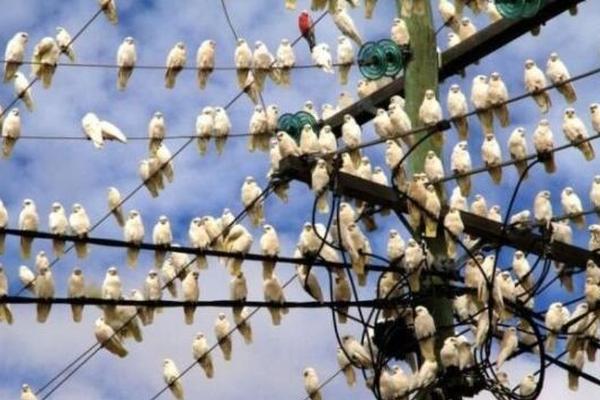 16區(qū)婦幼保健院均有兒科夜診