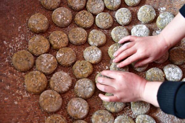 苗博雅被罵翻！綠營(yíng)政客陷精神分裂，一邊販賣“芒果干”一邊美化戰(zhàn)爭(zhēng)