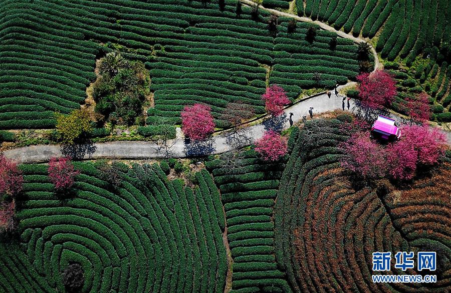 中國(guó)網(wǎng)站建設(shè)公司靠譜_英超：曼聯(lián)4-1副班長(zhǎng)升至第6！B費(fèi)2球1助，姆伯莫芒特破門