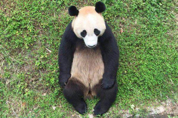 六年級信息技術創(chuàng)建個人網站教案_中俄轟炸機和航母從3個方向包圍琉球