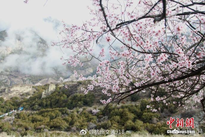 淘寶怎么關閉購物車不讓別人看_MH370最終搜尋報告:花1.6億美元 僅找到3塊殘片