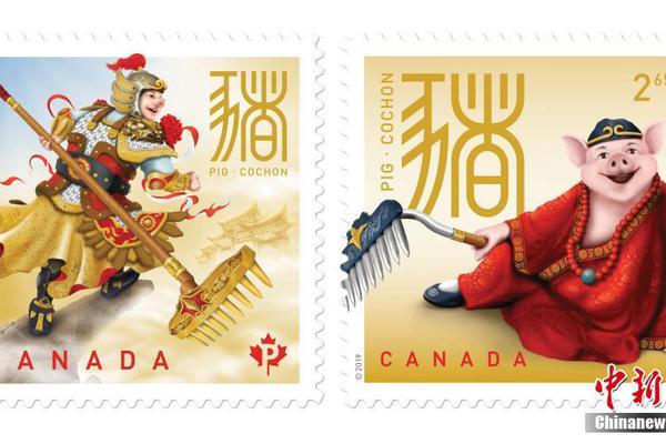 路由器是如何選擇ip數(shù)據(jù)包轉(zhuǎn)發(fā)路徑的_開辟產(chǎn)業(yè)發(fā)展新領(lǐng)域新賽道