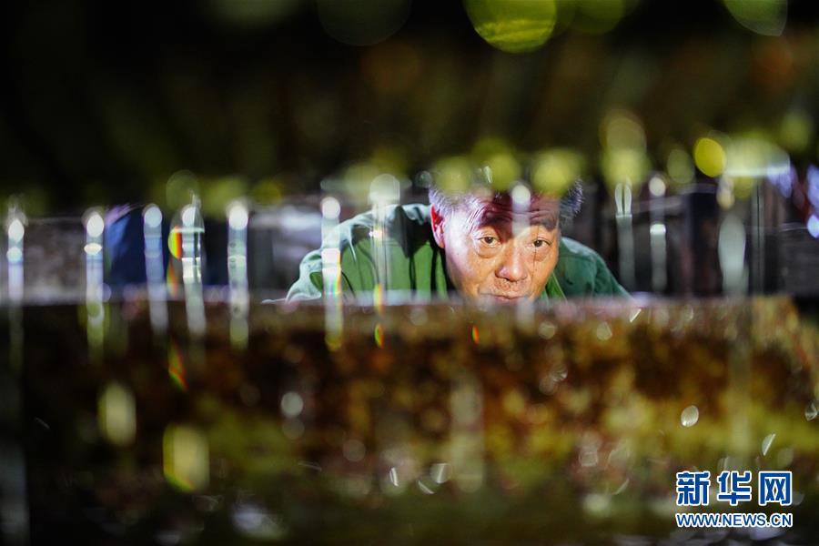 旅游推廣哪些方面可以推廣_陳意涵：自律才使人別有風(fēng)韻