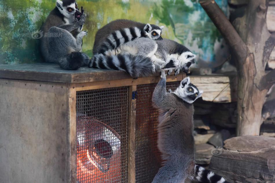 怎么監(jiān)控對(duì)方微信聊天記錄不被發(fā)現(xiàn)_劃重點(diǎn)！中央經(jīng)濟(jì)工作會(huì)議要點(diǎn)梳理