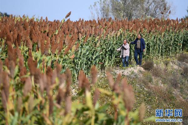 自媒體文案素材免費(fèi)搬運(yùn)網(wǎng)站_兩名正部級
