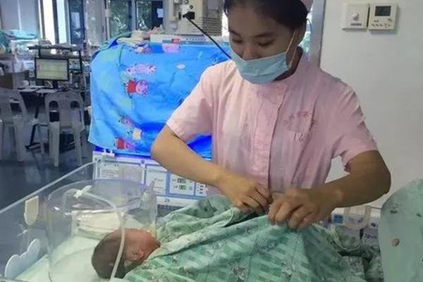 11歲發(fā)現(xiàn)西游記漏洞_苗博雅被罵翻！綠營(yíng)政客陷精神分裂，一邊販賣“芒果干”一邊美化戰(zhàn)爭(zhēng)