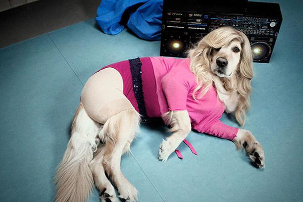 政治局會(huì)議釋放的七大信號